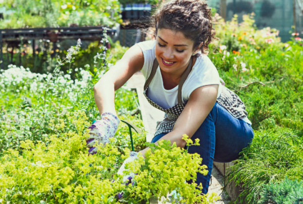 woman in the garden